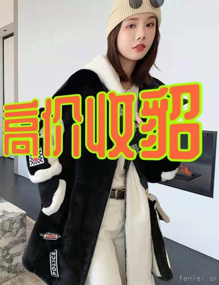 吉林回收貂皮#吉林市貂皮回收#上门收购皮草紫貂